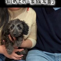 幸せを掴んだオレオくん3
