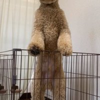 生後10か月のカムくん