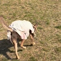 一歩一歩確実に