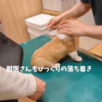 驚く先生