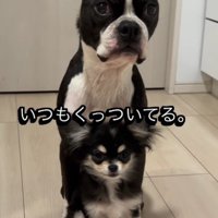 なくてはならない存在に