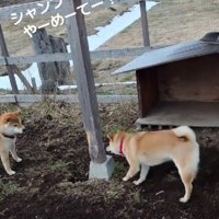 全力の泥遊び
