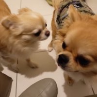 ぽん太くんをお見送り