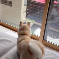 早く