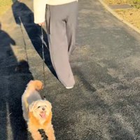 お散歩中のチャックくん