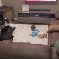 驚いてズッコケるこり男くん