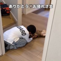 アムくんとお兄ちゃんの再会⑩