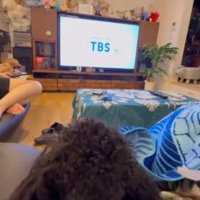 テレビを見るある君