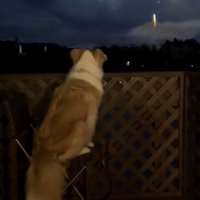 「たーまやー！！」