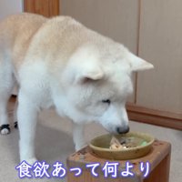 食欲旺盛な姿にほっこり