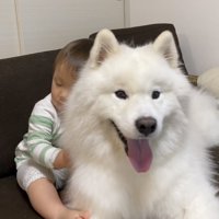 ニコニコ