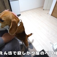 3分で舞い戻ってきました！