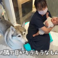 「育児はまかせて！！」