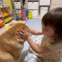 雷を怖がるすずちゃん