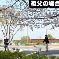 おじいちゃんと鉢合わせると…