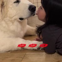 お互いに愛が止まらない