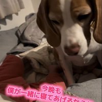 優しく見守り続ける姿に感動♡