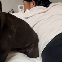 パパと添い寝するニッキーちゃん