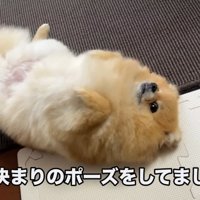 リラックスしてゴロ～ン♪
