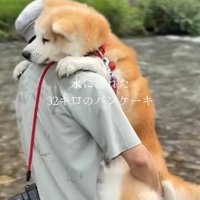 おはるちゃんのお尻を支えるパパ
