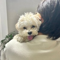 抱っこが大好き♡