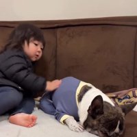 散歩拒否の丸男くん