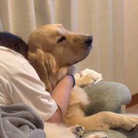 泣いている女性に抱きしめられる犬