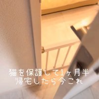 ドアを開けてみたら…