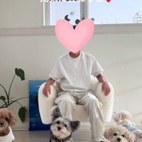 お兄ちゃんと4匹のワンコ