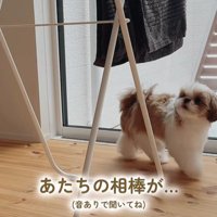 おもちゃを干した時のちゃぽちゃん2