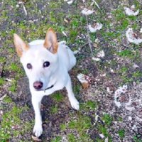 少しずつ距離が縮まった