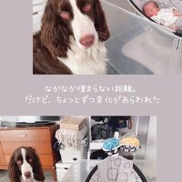 ププくんと娘さん3