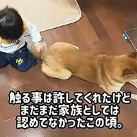 尻尾を触られるロック君