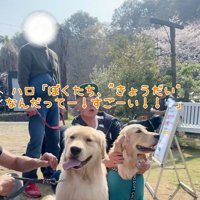 仲良く並んでお座り