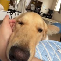 まるで本当のママのよう♡