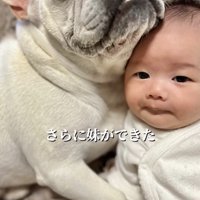 赤ちゃんを抱くように寄り添う犬