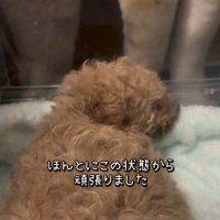 みらいちゃんが元気になるまで3