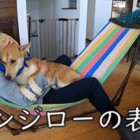 不安そうなお顔