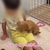 ここが安心する場所