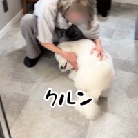 クルンと回って大喜び♪