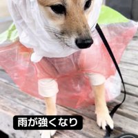 強まる雨で「アップデート」しました