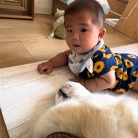 カメラ目線の赤ちゃん