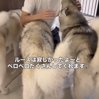 一番の寂しがり屋、ルースさん