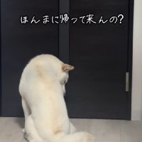 「ほんまに帰ってくんの？」