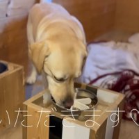 朝ごはんの時間