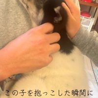 抱っこした瞬間メロメロに♪