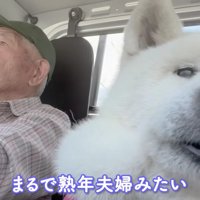 「どこに行くのかな〜」