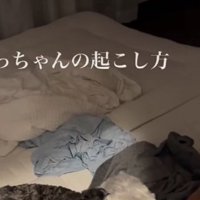 犬の頭