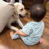 兄妹