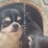 朝一番に姉妹の元へ